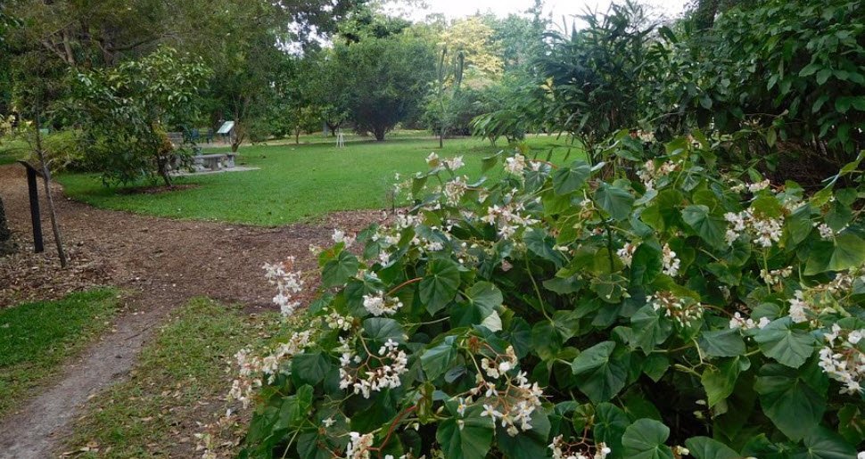 John C. Gifford Arboretum, United States